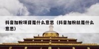 抖音加粉项目是什么意思（抖音加粉丝是什么意思）