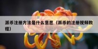 派币注册方法是什么意思（派币的注册视频教程）
