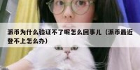 派币为什么验证不了呢怎么回事儿（派币最近登不上怎么办）
