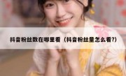 抖音粉丝数在哪里看（抖音粉丝量怎么看?）