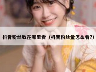抖音粉丝数在哪里看（抖音粉丝量怎么看?）