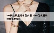ins粉丝数量排名怎么看（ins怎么看粉丝增长明细）