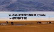 youtube的播放列表在哪（youtube播放列表下载）