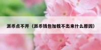 派币点不开（派币钱包加载不出来什么原因）