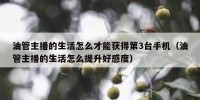 油管主播的生活怎么才能获得第3台手机（油管主播的生活怎么提升好感度）