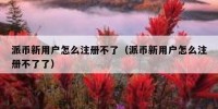 派币新用户怎么注册不了（派币新用户怎么注册不了了）