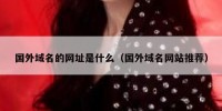国外域名的网址是什么（国外域名网站推荐）