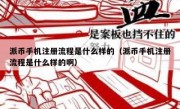 派币手机注册流程是什么样的（派币手机注册流程是什么样的啊）