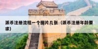 派币注册流程一个图片几张（派币注册年龄要求）