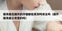 服务器在国外的诈骗都能抓到吗安全吗（国外服务器公安查的吗）