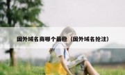 国外域名商哪个最稳（国外域名抢注）