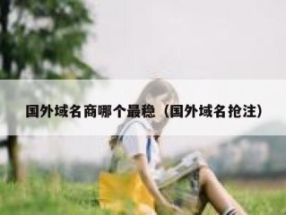 国外域名商哪个最稳（国外域名抢注）