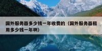 国外服务器多少钱一年收费的（国外服务器租用多少钱一年啊）