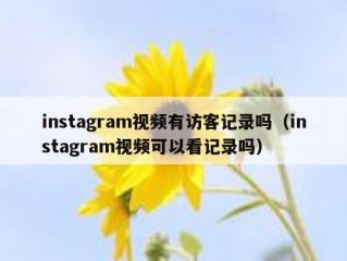 instagram视频有访客记录吗（instagram视频可以看记录吗）
