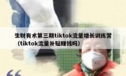 生财有术第三期tiktok流量增长训练营（tiktok流量补贴赚钱吗）