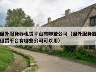 国外服务器租赁平台有哪些公司（国外服务器租赁平台有哪些公司可以用）