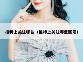 推特上关注哪些（推特上关注哪些账号）