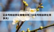 公众号粉丝转化策略分析（公众号粉丝转化率多大）