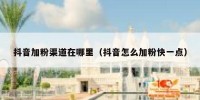 抖音加粉渠道在哪里（抖音怎么加粉快一点）