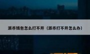 派币钱包怎么打不开（派币打不开怎么办）