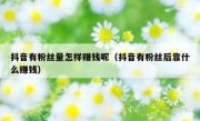 抖音有粉丝量怎样赚钱呢（抖音有粉丝后靠什么赚钱）
