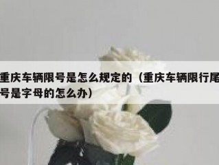 重庆车辆限号是怎么规定的（重庆车辆限行尾号是字母的怎么办）