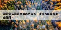 油管怎么设置只播放声音呢（油管怎么设置单曲循环）