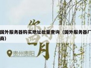 国外服务器购买地址批量查询（国外服务器厂商）