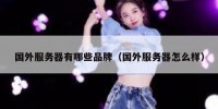 国外服务器有哪些品牌（国外服务器怎么样）