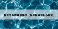 抖音怎么粉丝涨得快（抖音粉丝涨粉小技巧）