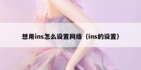 想用ins怎么设置网络（ins的设置）
