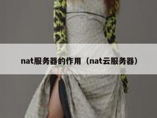 nat服务器的作用（nat云服务器）