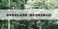 派币电话认证流程（派币怎样注册认证）