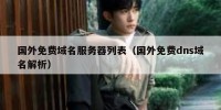 国外免费域名服务器列表（国外免费dns域名解析）