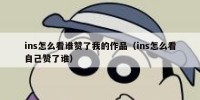 ins怎么看谁赞了我的作品（ins怎么看自己赞了谁）