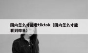国内怎么才能看tiktok（国内怎么才能看到鲸鱼）