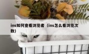 ins如何查看浏览者（ins怎么看浏览次数）