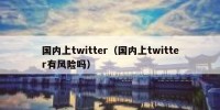 国内上twitter（国内上twitter有风险吗）