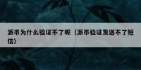 派币为什么验证不了呢（派币验证发送不了短信）