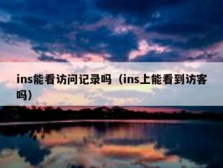 ins能看访问记录吗（ins上能看到访客吗）
