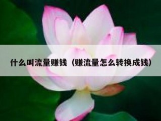 什么叫流量赚钱（赚流量怎么转换成钱）