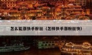 怎么能涨快手粉丝（怎样快手涨粉丝快）