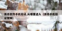 派币软件手机验证,从哪里进入（派币手机验证视频）