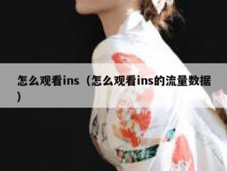 怎么观看ins（怎么观看ins的流量数据）