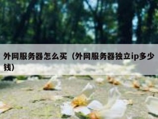 外网服务器怎么买（外网服务器独立ip多少钱）