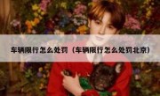 车辆限行怎么处罚（车辆限行怎么处罚北京）