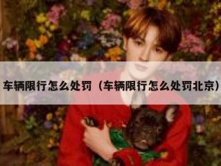 车辆限行怎么处罚（车辆限行怎么处罚北京）