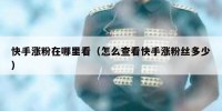 快手涨粉在哪里看（怎么查看快手涨粉丝多少）