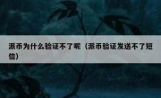 派币为什么验证不了呢（派币验证发送不了短信）