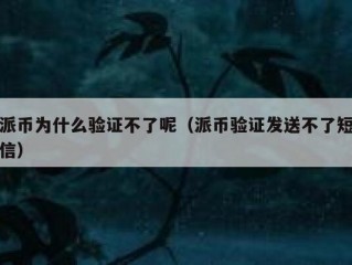 派币为什么验证不了呢（派币验证发送不了短信）
